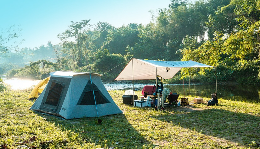 Carpa